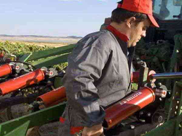 Raul, agricultor colaborador con Bellota Agrisolutions