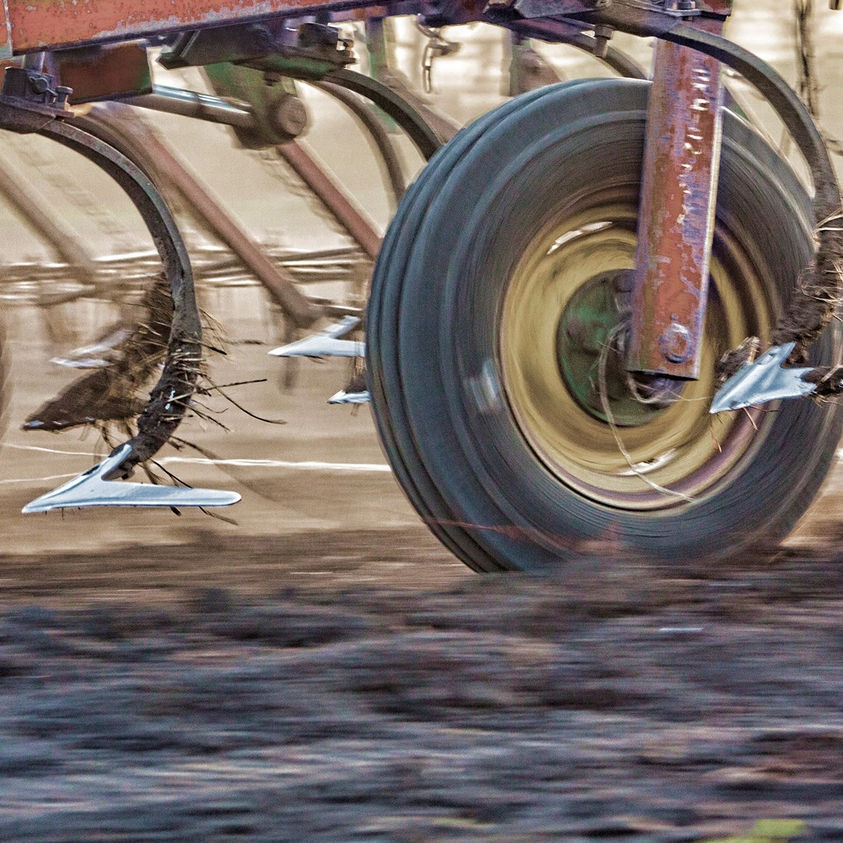 El campo español muere de sed