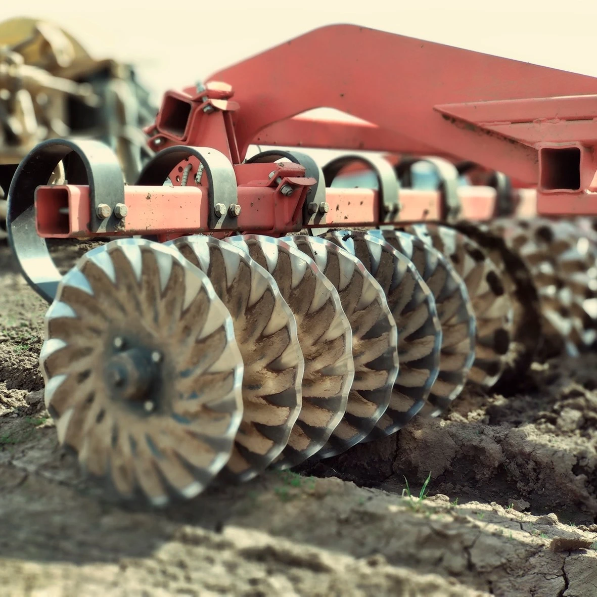 Entrevista en Agrotécnica a Eduardo Urrestarazu