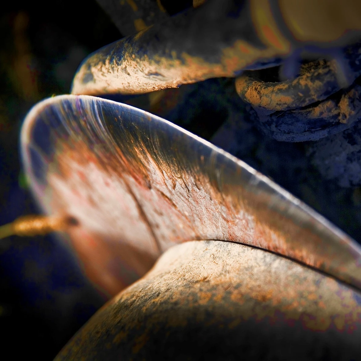 Rozalma cumple 100 años